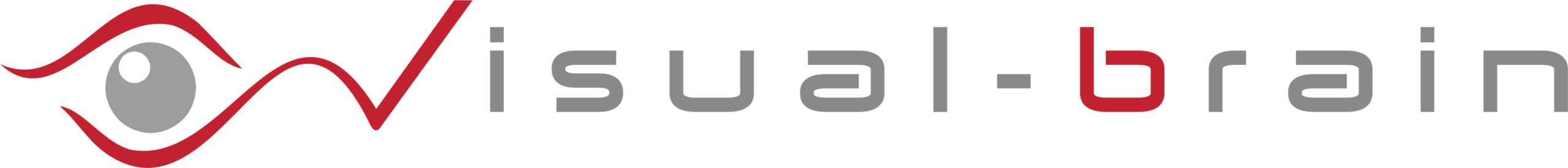 Visual Brain Logo